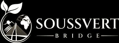 Soussvert Bridge Exports