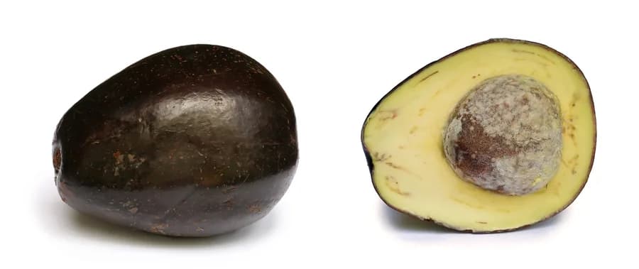 Avocados