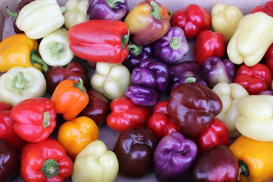 Bell Peppers